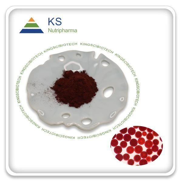 אבקת תמצית Haematococcus pluvialis