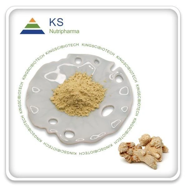 Panax Notoginseng תמצית שורש