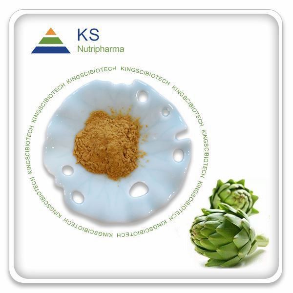 אבקת תמצית ארטישוק